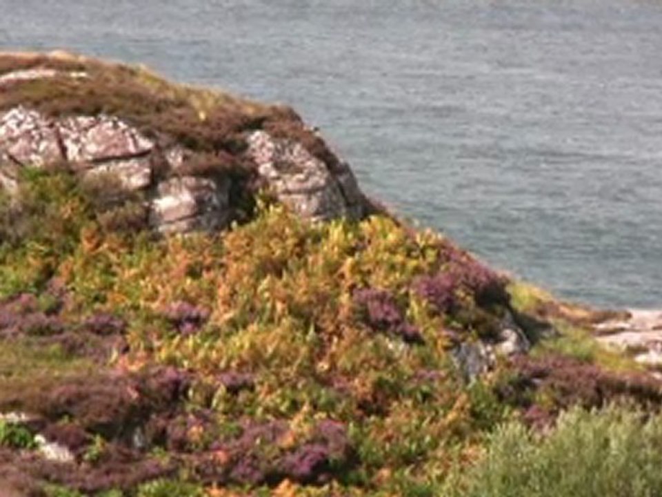 à travers les Highlands (1)