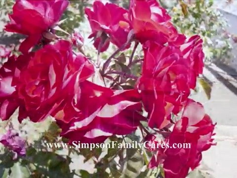 Simpson Family Mortuary, Inglewood