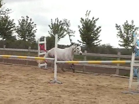 Qartoone le 3 Mai 2010 saut en liberté (4)