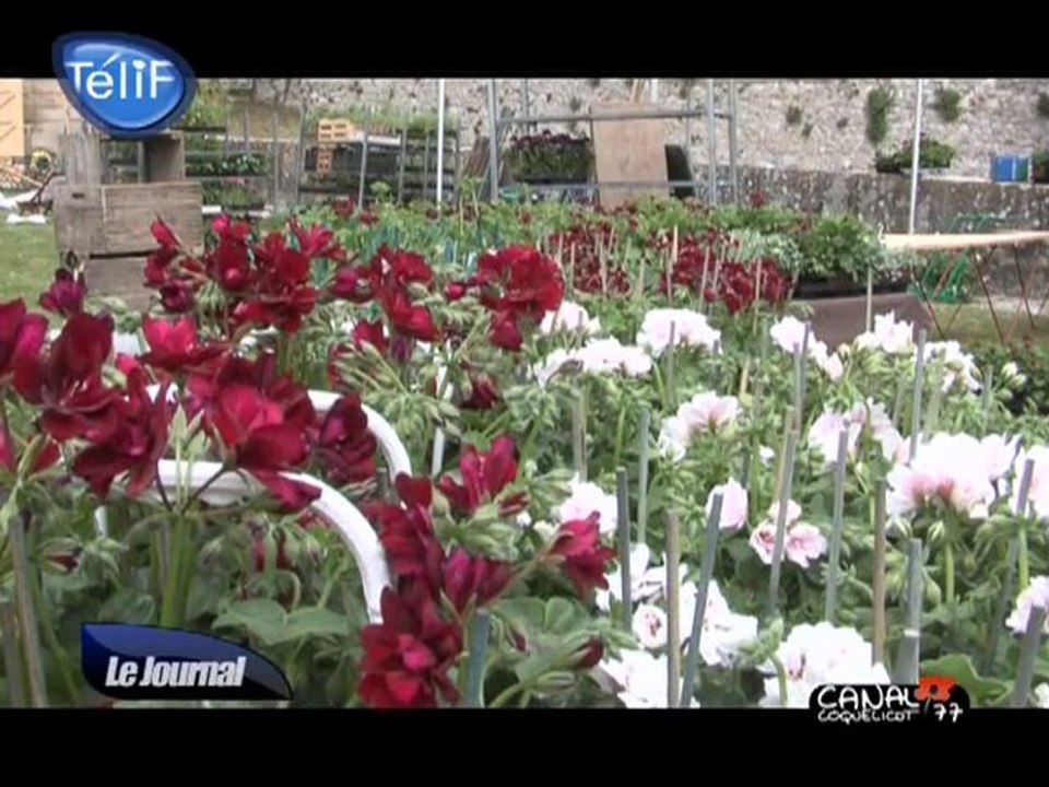 Le château de La Roche-Guyon se met au vert ! (Val d'Oise)