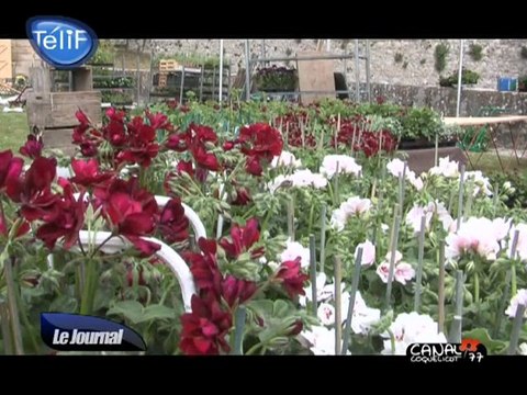 Le château de La Roche-Guyon se met au vert ! (Val d'Oise)