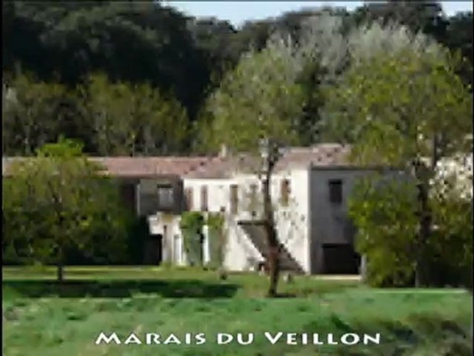 La Guittière - Le marais du Veillon - Le Port Bourgenay (Ven