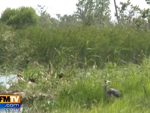 Marée noire : la météo gêne les opérations