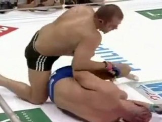 Fedor Emelianenko the lion