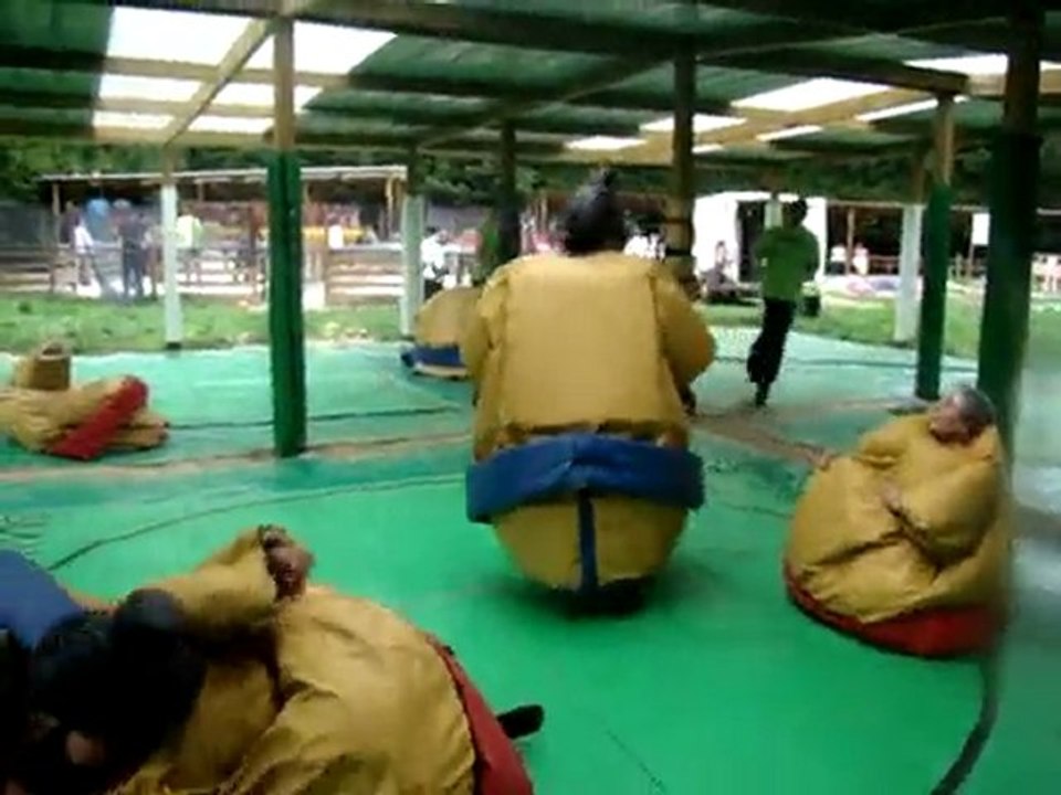 EVJF Manue 1er Mai 2010 - Combat de Sumo 5 -
