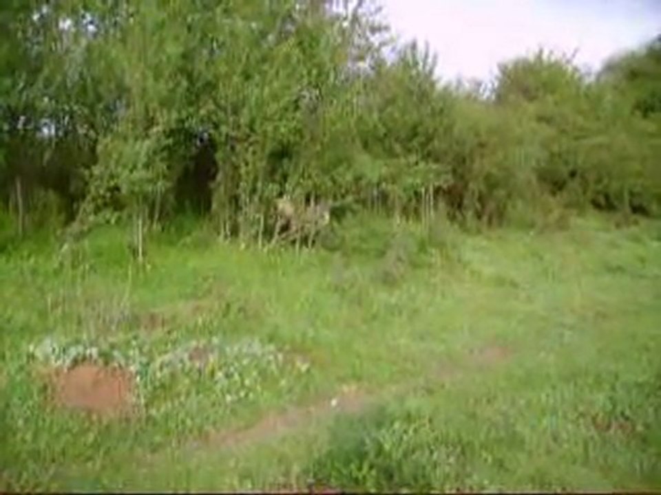 Poulains 2010