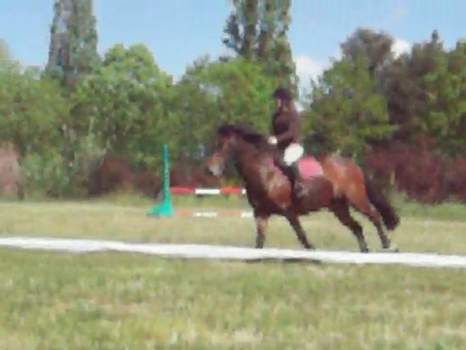 challenge interne  60-70 cm