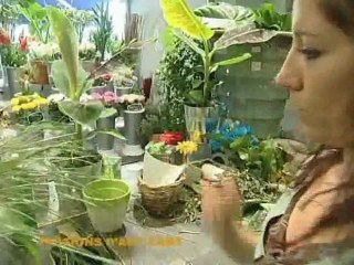 Matthieu Metzger - Fleuriste