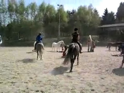 Spectacle d'équitation répet
