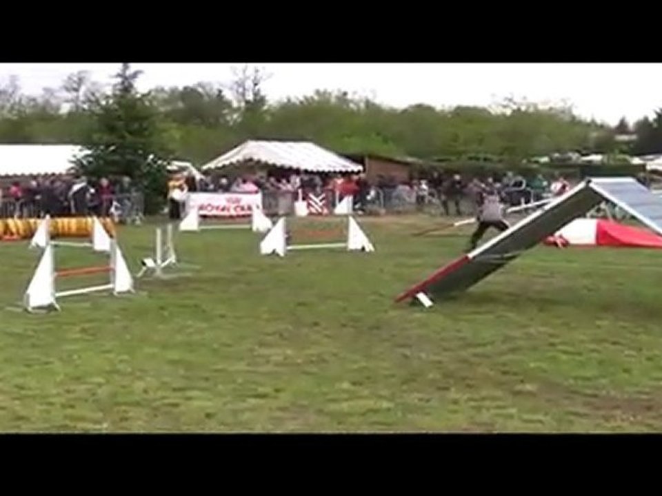 Union ChpReg 3ème degré Agility Manche 1 Annonay 02/05/2010