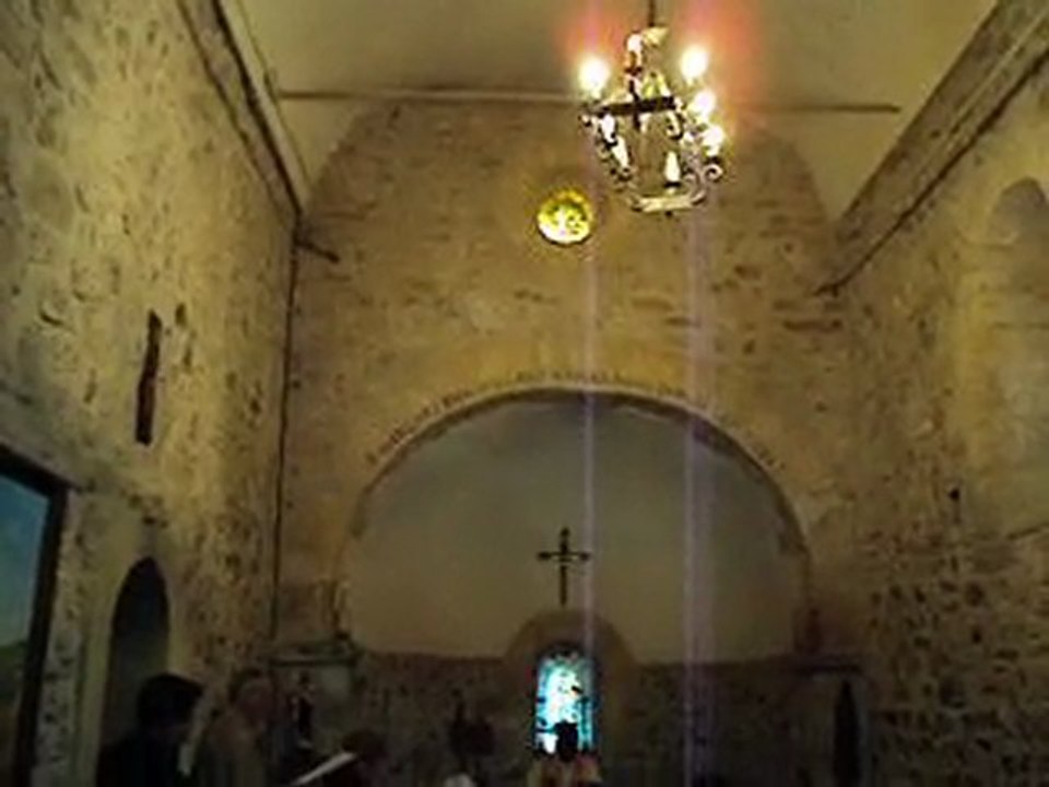 ESM STMARC1