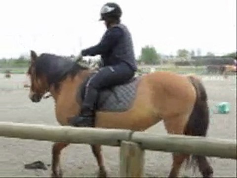 MARIE JO - LUCIE PIERRE Cours d'équitation Prunelle Avril 2010