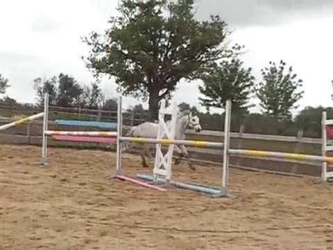 qartoone saut en liberté 3 mai 2010 (2)