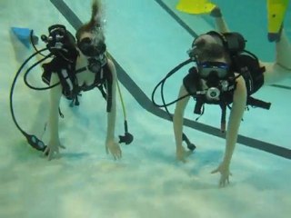 Baptême piscine2010