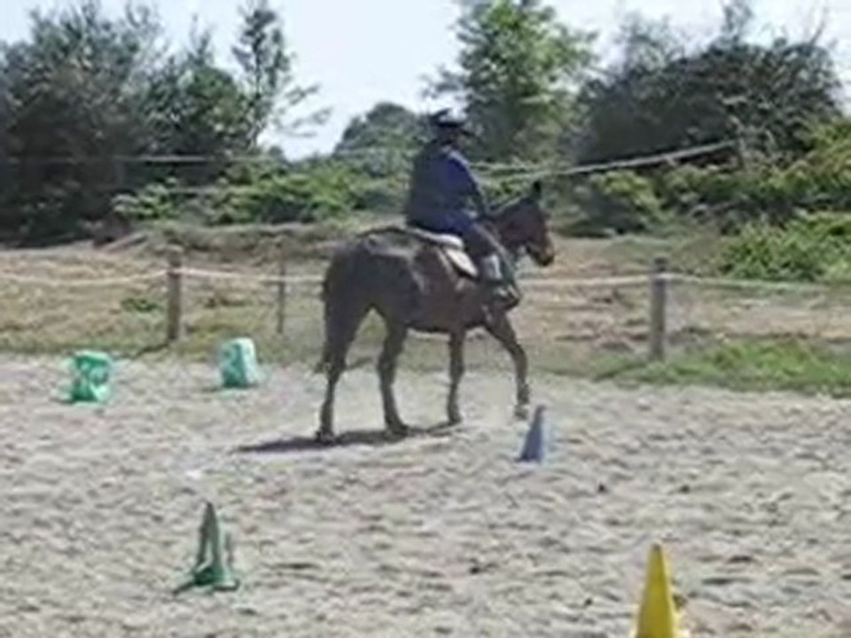Cours d'équitation Elsa septembre 2010
