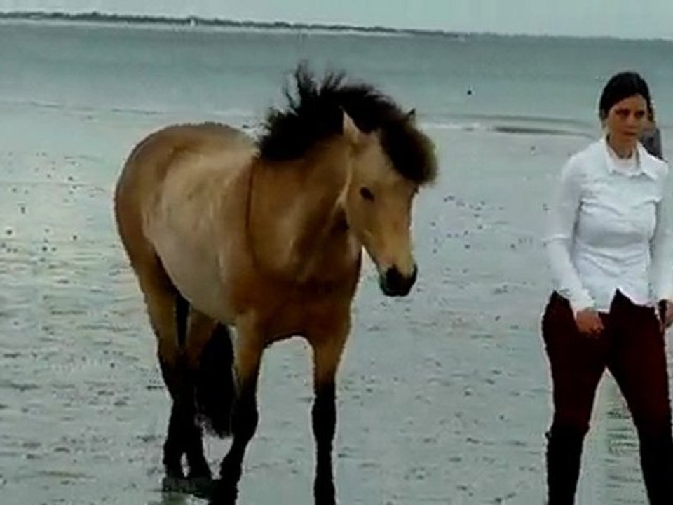 Démo du 2 mai 2010 à la plage du Treustel à Combrit