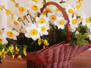 KLEKLJARSKO DRUŠTVO CVETKE žiri SLOVENIA