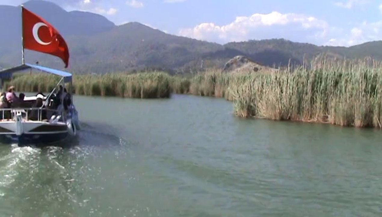 Dalyan Kanalları Su Doğal Yaşamı 1 Wildlife of the Dalyan