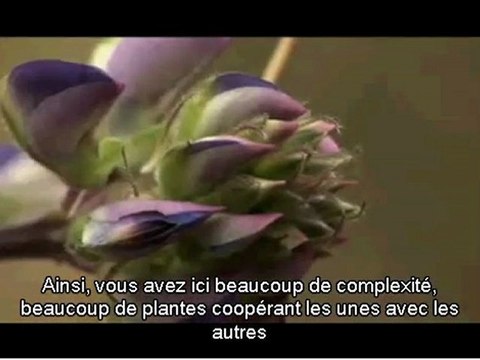 Le piège de l'argent 5 sur 9 / Monnaies libres