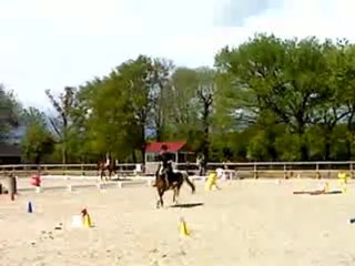 equi-fun
