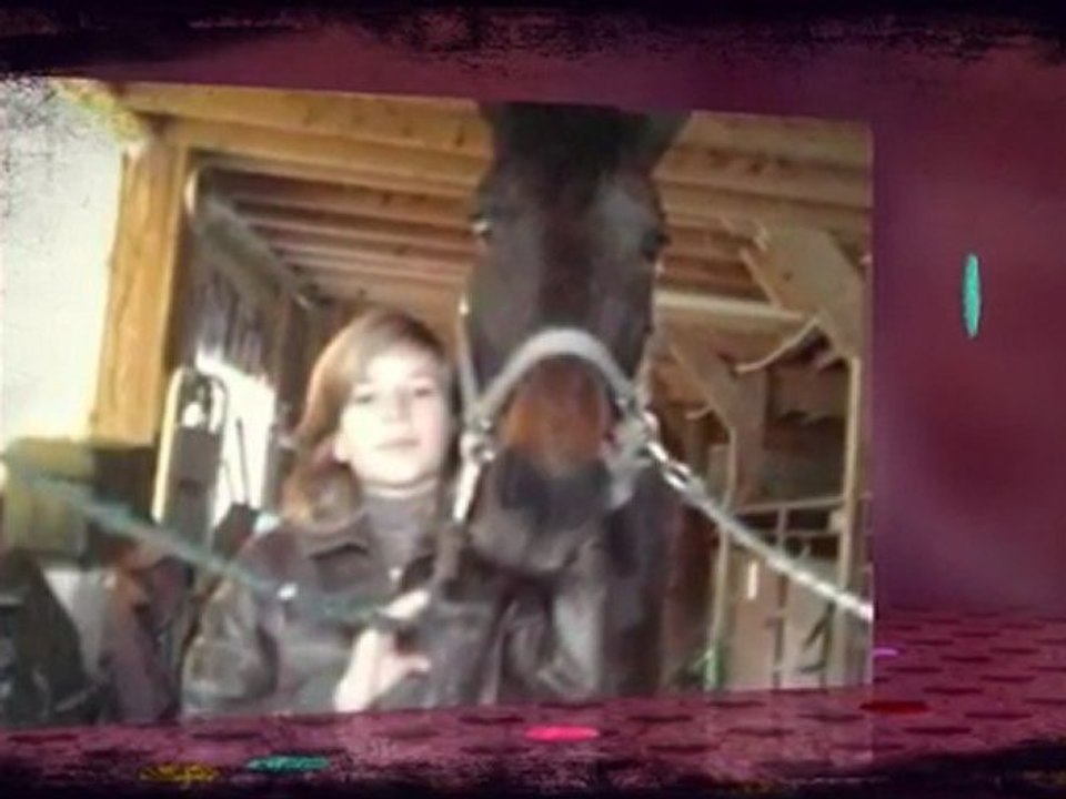 les chevaux damour (l)