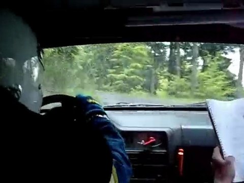 Rallye Plaine et cimes 2010