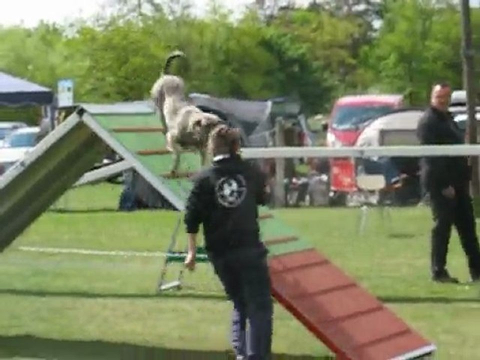 concours d'agility du subdray le 02-05-2010 095