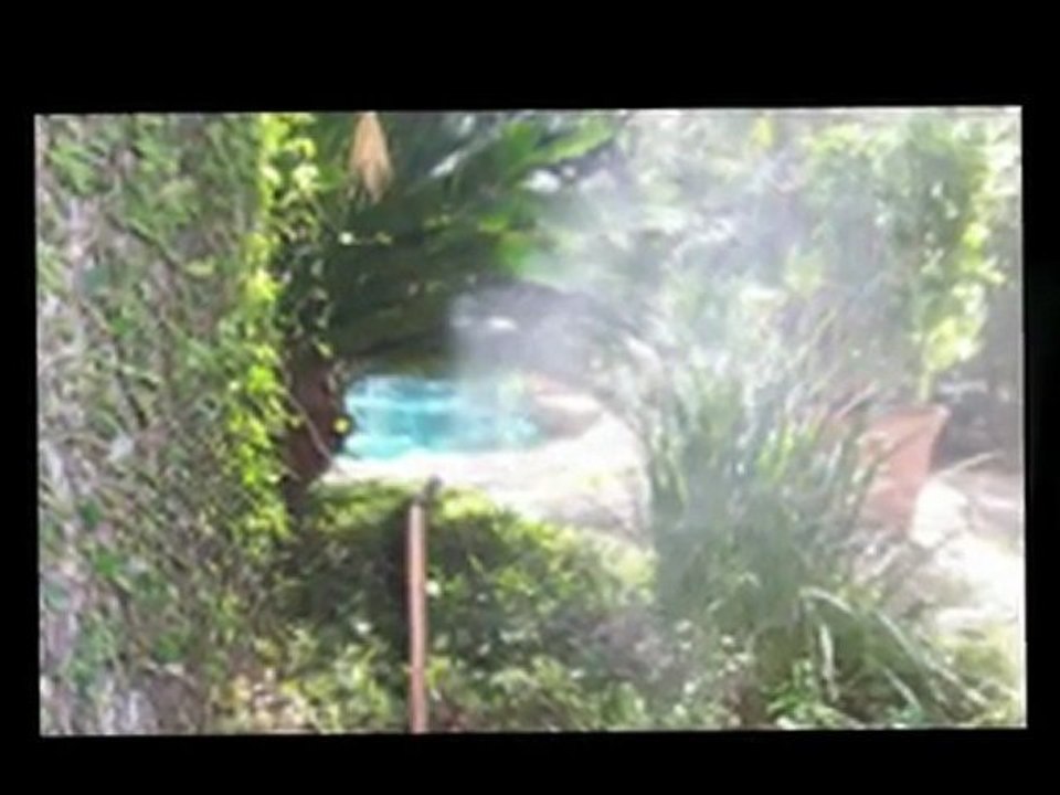 Why You Need Houston Mosquito Control
