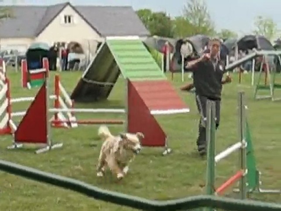 concours d'agility du subdray le 02-05-2010 096