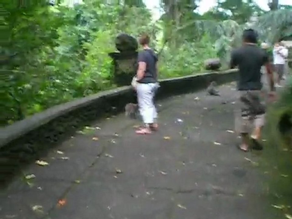 Foret des singes Ubud Bali