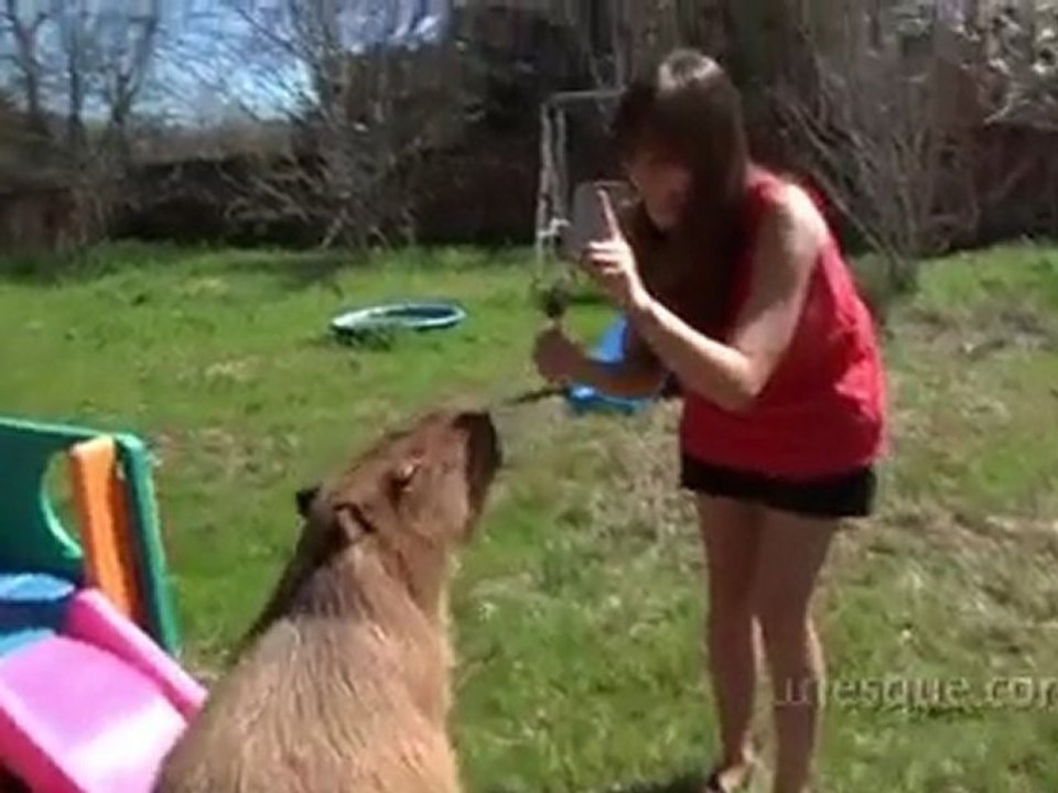 Caplin Rous of GiantHamster.com (Behind the Sites)