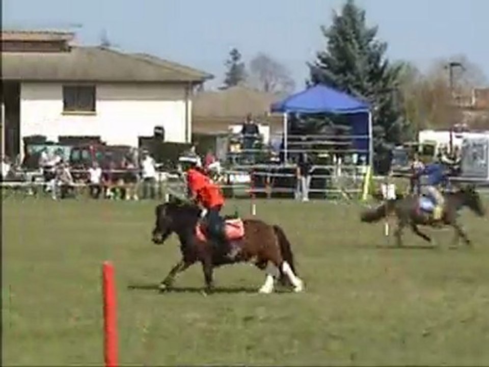 Peter Dale 2010 Tignieu Manche 4 Minis Poitou Charentes