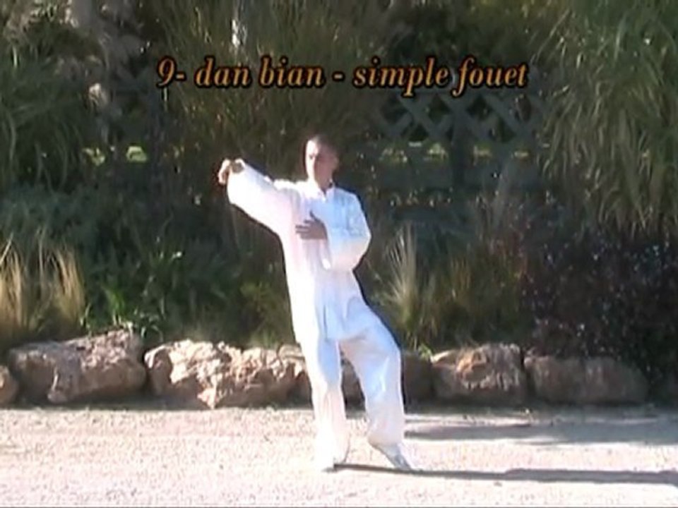 Taiji Quan - Petite Forme de Pékin en 24 mouvements