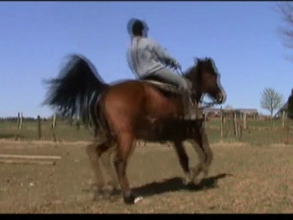 Montée Louky fin avril 2010