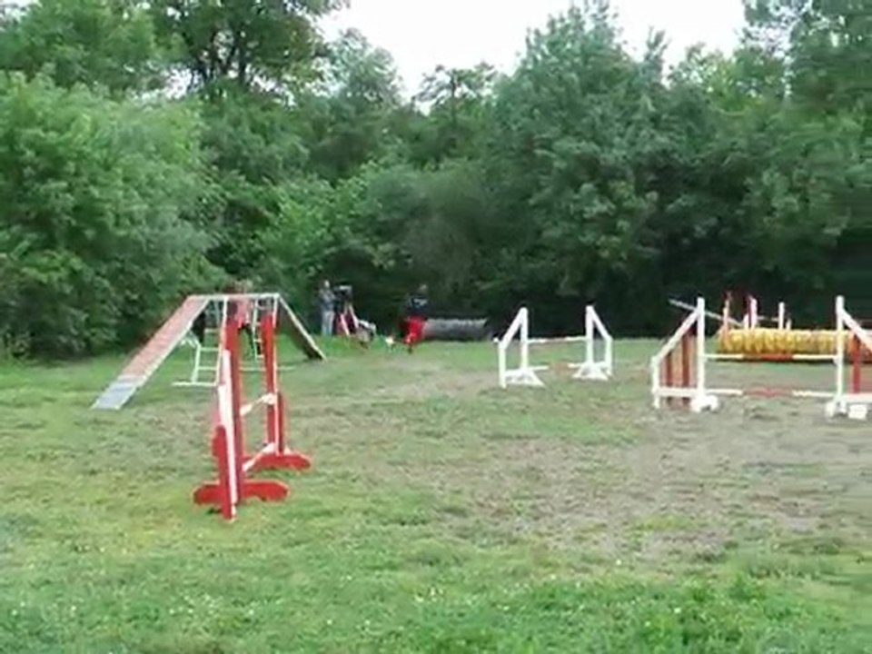 Under agility Sélectif Régional 2010