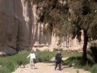 talleres ppp vinalopó1