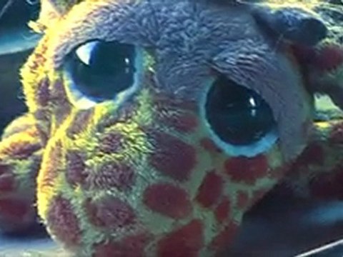 Сщастье - Путь