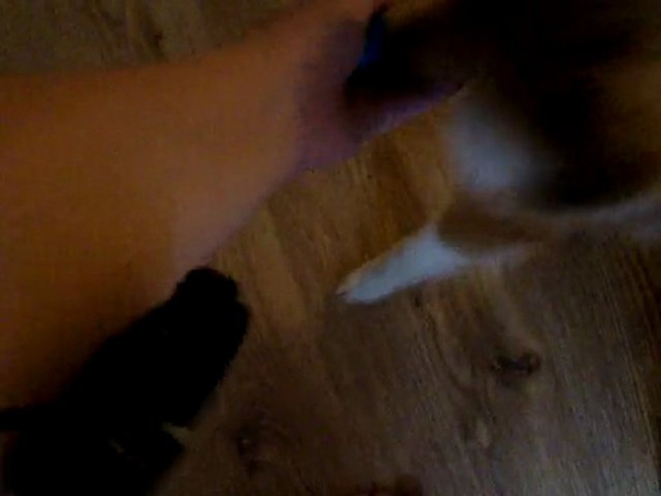 Exxos au cliker 2 (shapping)