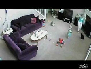 cat-attacks-babysitter_1