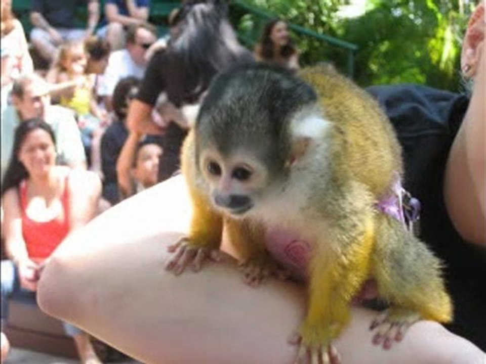 Earth Day @ Pincrest Gardens