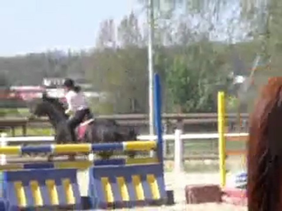 Saut avril 2010