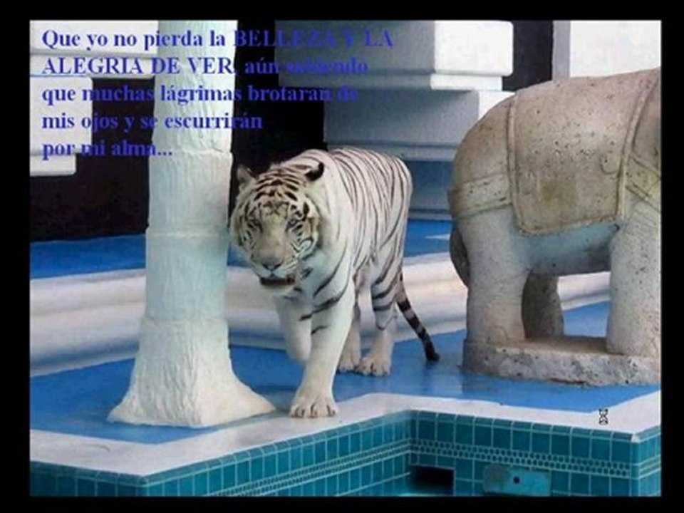 89 El video de rhonda byrne hizo famoso a el secreto,