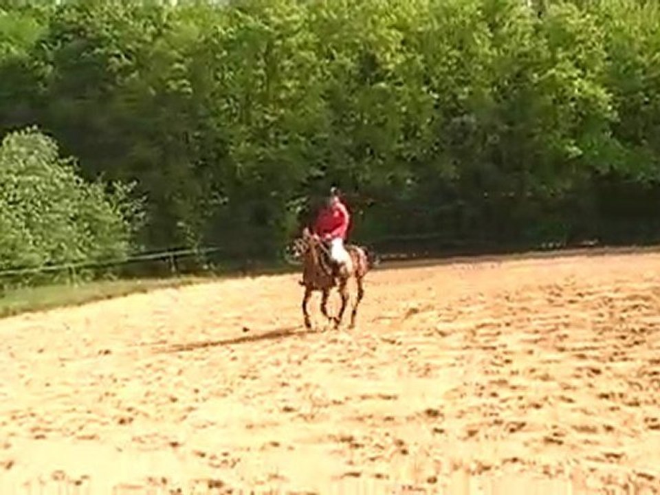 Spag vertical