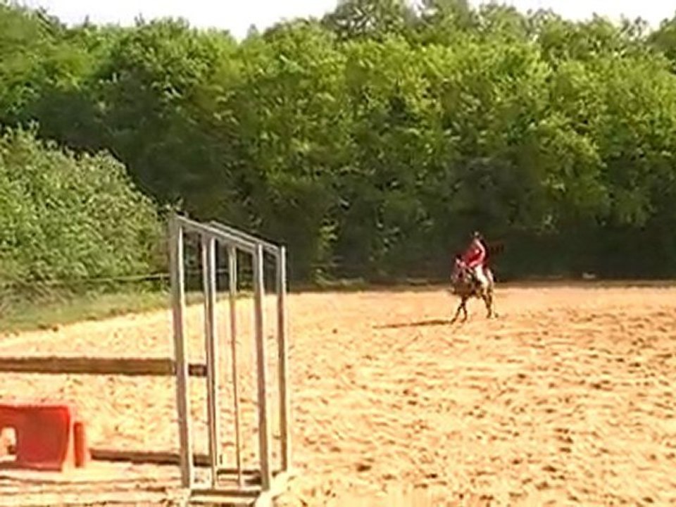 Spag oxer2