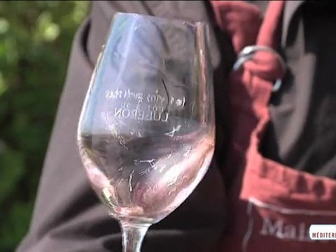 Maison de la truffe et du vin dans le Luberon