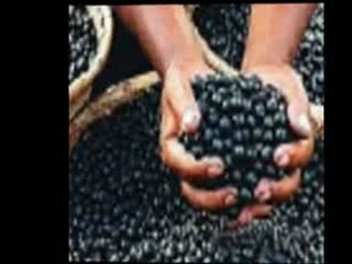 New Detox AcAi - nOn Recurring - Not A ScAm! Acai Trim & De