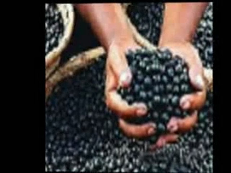 New Detox AcAi - nOn Recurring - Not A ScAm! Acai Trim & De