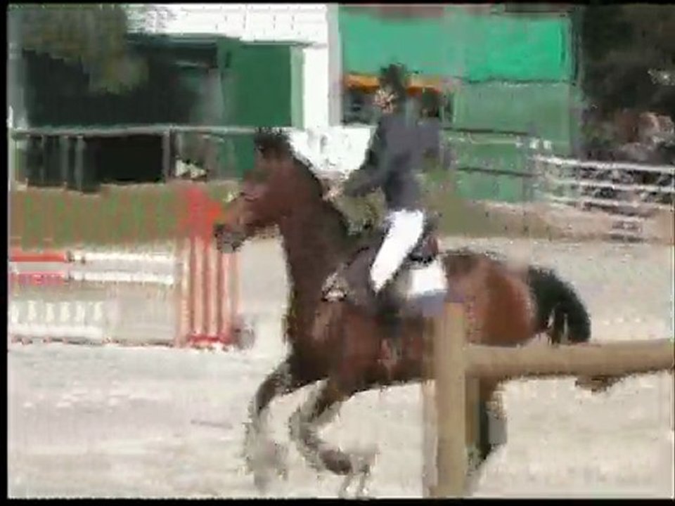 CSO Amateur 3, 1m05 à Boissy sous Saint Yon du 10 avril 2010