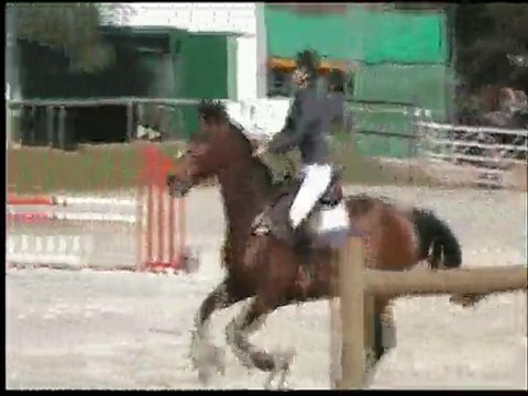 CSO Amateur 3, 1m05 à Boissy sous Saint Yon du 10 avril 2010