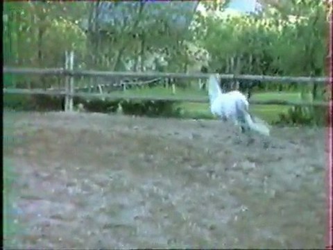 Maltosa début piaf et Ardente début attaque pour yt